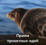 1 апреля стартовал первый конкурс экологических и природоохранных проектов - Газета Искра