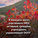 1 апреля стартовал первый конкурс экологических и природоохранных проектов