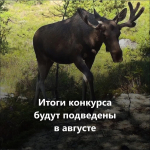 1 апреля стартовал первый конкурс экологических и природоохранных проектов