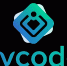 Релиз о проекте CVCODE - Газета Искра