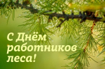 Операторы лесозаготовительной техники